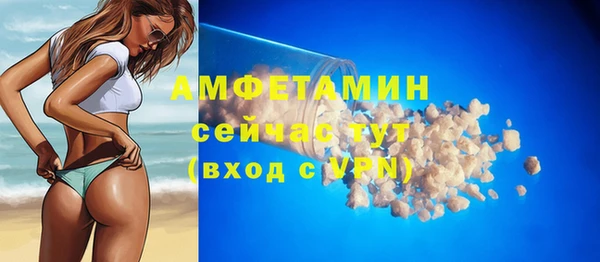 хмурый Белокуриха