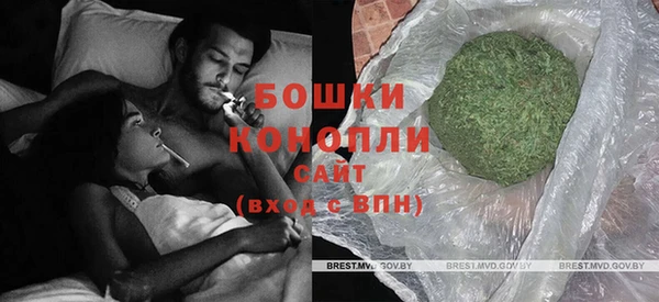хмурый Белокуриха
