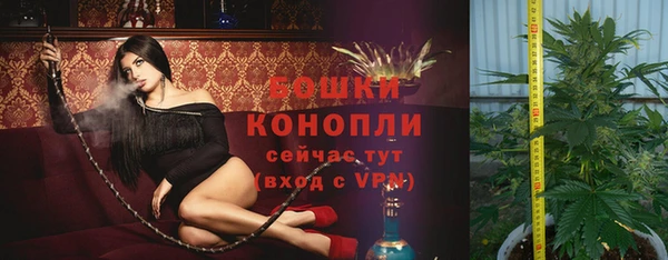 хмурый Белокуриха