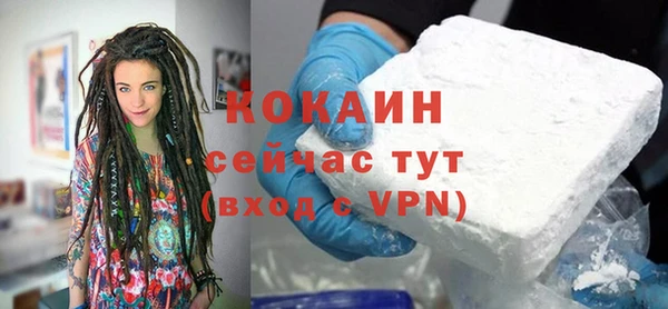хмурый Белокуриха